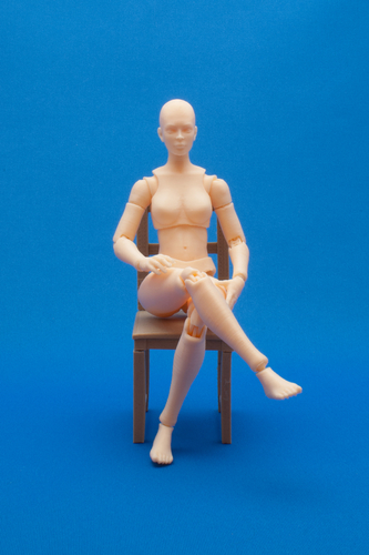 Articulated Poseable Female Figure 3D Print 247426