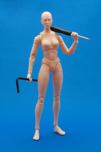 Articulated Poseable Female Figure 3D Print 247431
