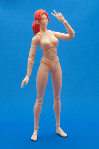 Articulated Poseable Female Figure 3D Print 247432