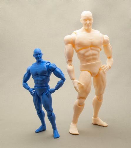 Articulated Poseable Male Figure 3D Print 247438