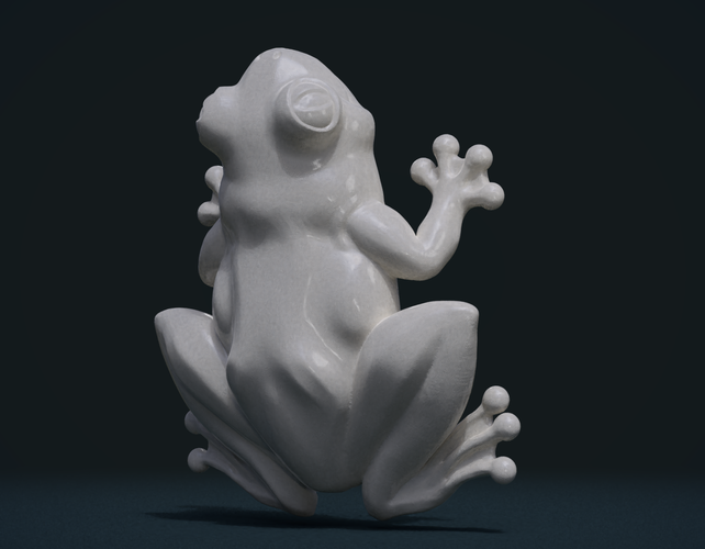 Frog 3D Print 247599
