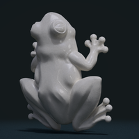 Frog - Thumbnail 5
