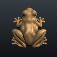 Frog - Thumbnail 7