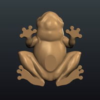 Frog - Thumbnail 8