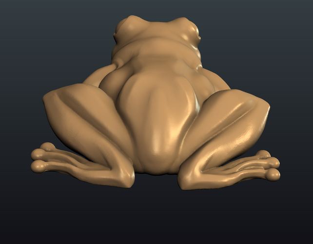 Frog 3D Print 247604