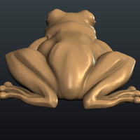 Frog - Thumbnail 10
