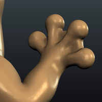 Frog - Thumbnail 11