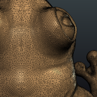 Frog - Thumbnail 14