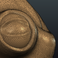 Frog - Thumbnail 15