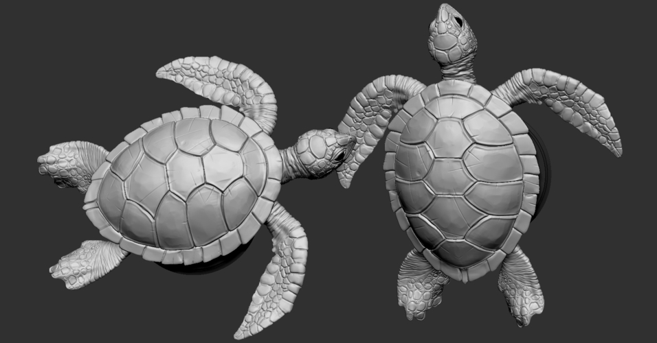 3d printed turtle by albedo pinshape