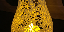 Image 247817