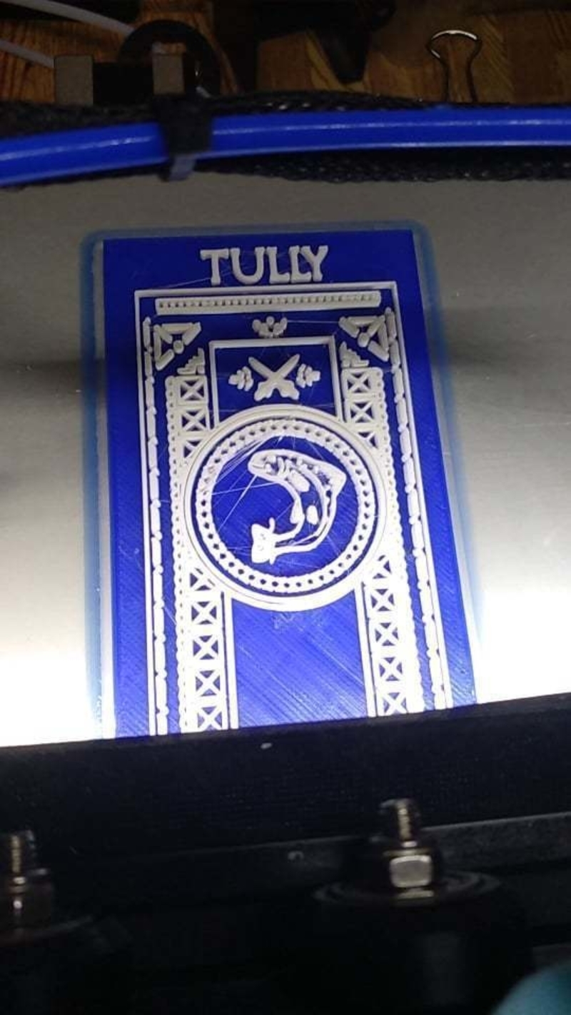 ESTANDARTE CASA TULLY, GAME OF THRONES