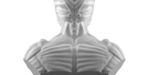 Image 248316