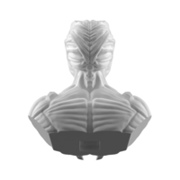 The Star God Bust - Thumbnail 1