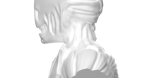 Image 248320