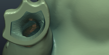 Image 248367