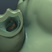 Fat Frog - Thumbnail 21
