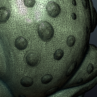 Fat Frog - Thumbnail 22