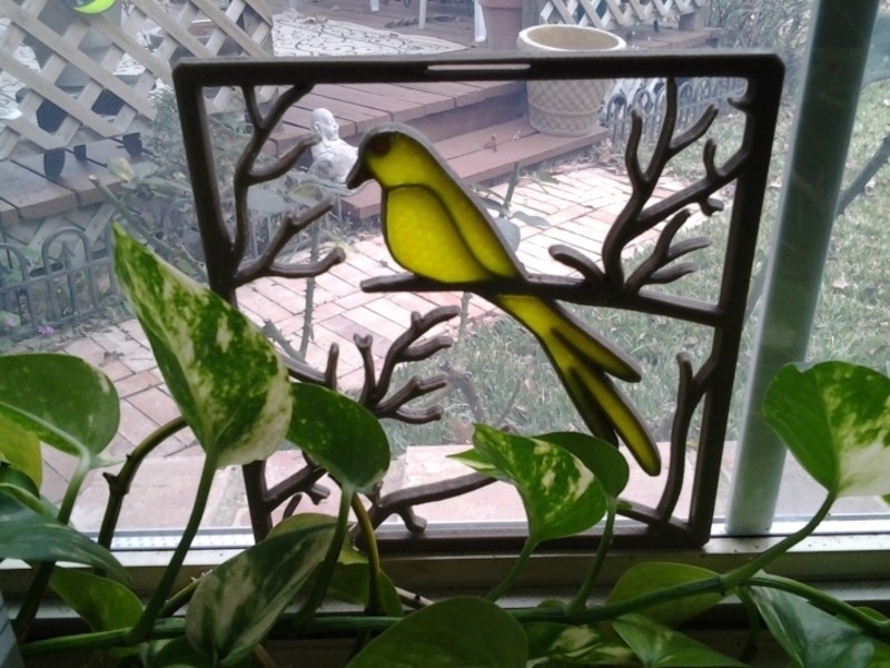 NewBird