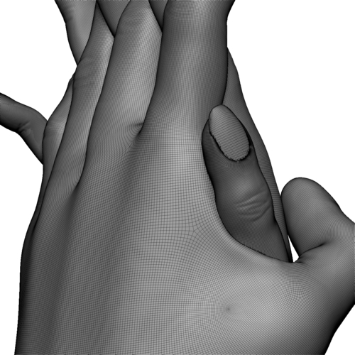 Hands couple in love 3D Print 248580