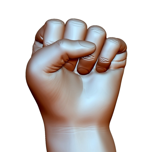 Fist hand gesture male knuckle 3D Print 248593