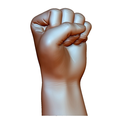 Fist hand gesture male knuckle 3D Print 248599