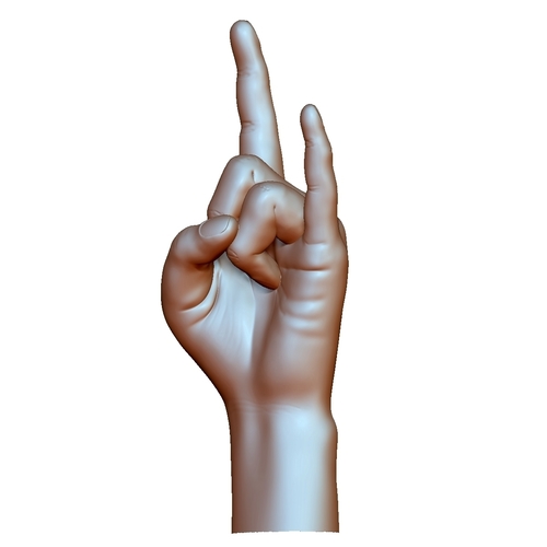Hard rock hand gesture male 3D Print 248605