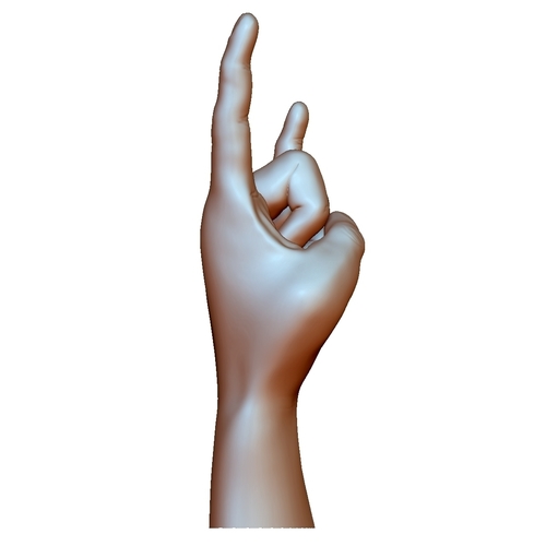Hard rock hand gesture male 3D Print 248611