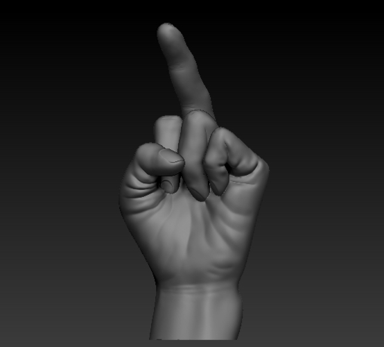Fuck sign hand male middle finger 3D Print 248619
