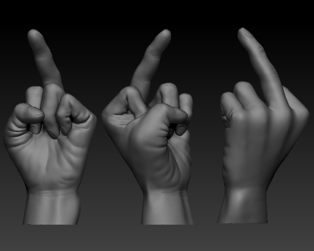 Fuck sign hand male middle finger 3D Print 248620