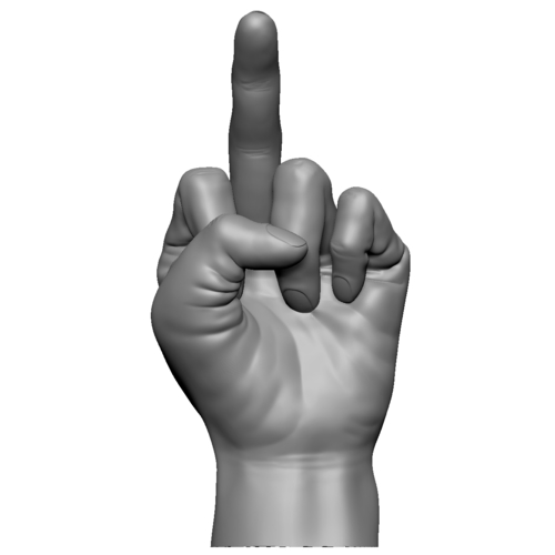 Fuck sign hand male middle finger 3D Print 248621