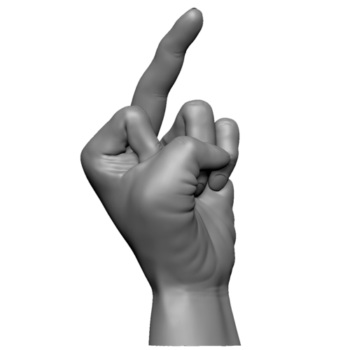 Fuck sign hand male middle finger 3D Print 248622