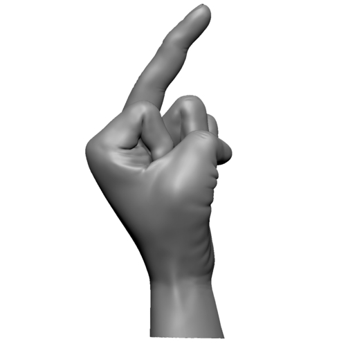 Fuck sign hand male middle finger 3D Print 248623