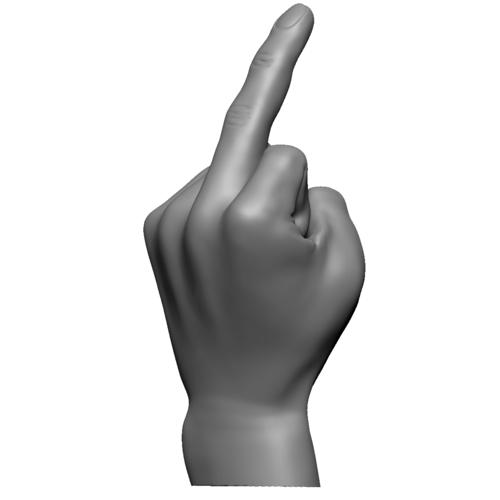 Fuck sign hand male middle finger 3D Print 248624