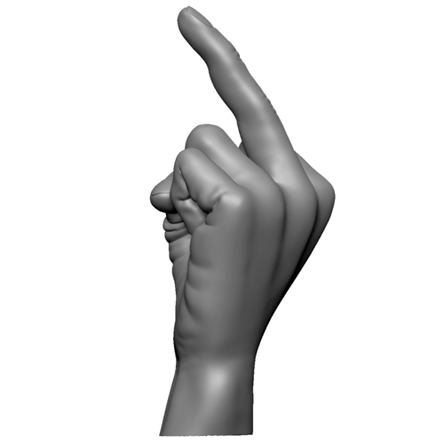 Fuck sign hand male middle finger 3D Print 248626