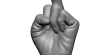 Image 248627