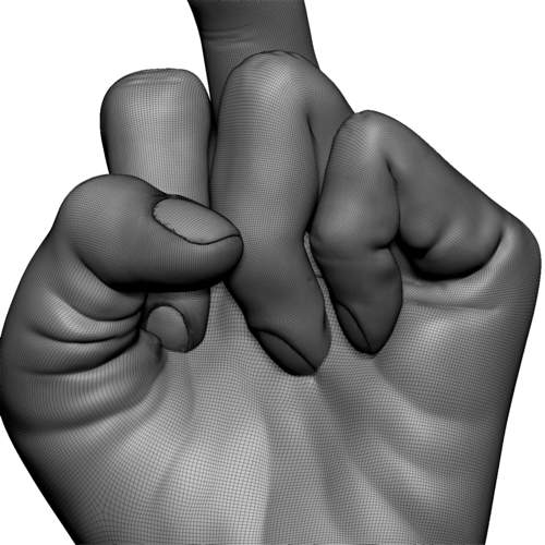 Fuck sign hand male middle finger 3D Print 248628