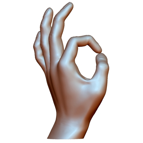 Ok okay sign hand male 3D Print 248634