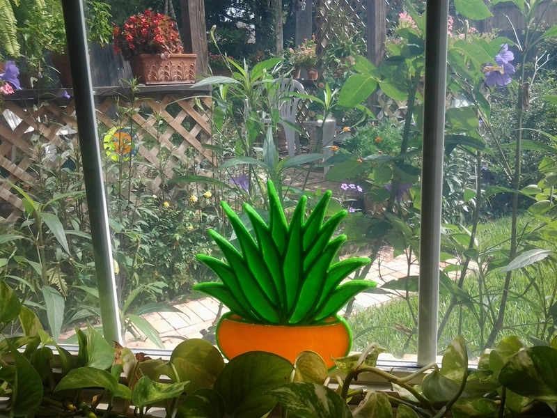 Agave Project
