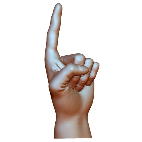 Pointing hand point gesture male 3D Print 248644