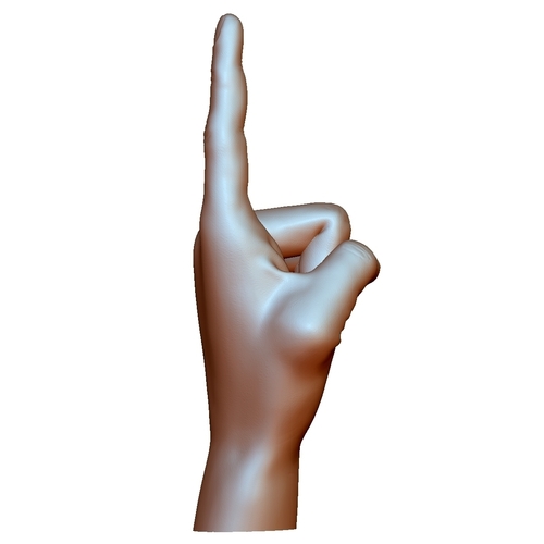 Pointing hand point gesture male 3D Print 248645