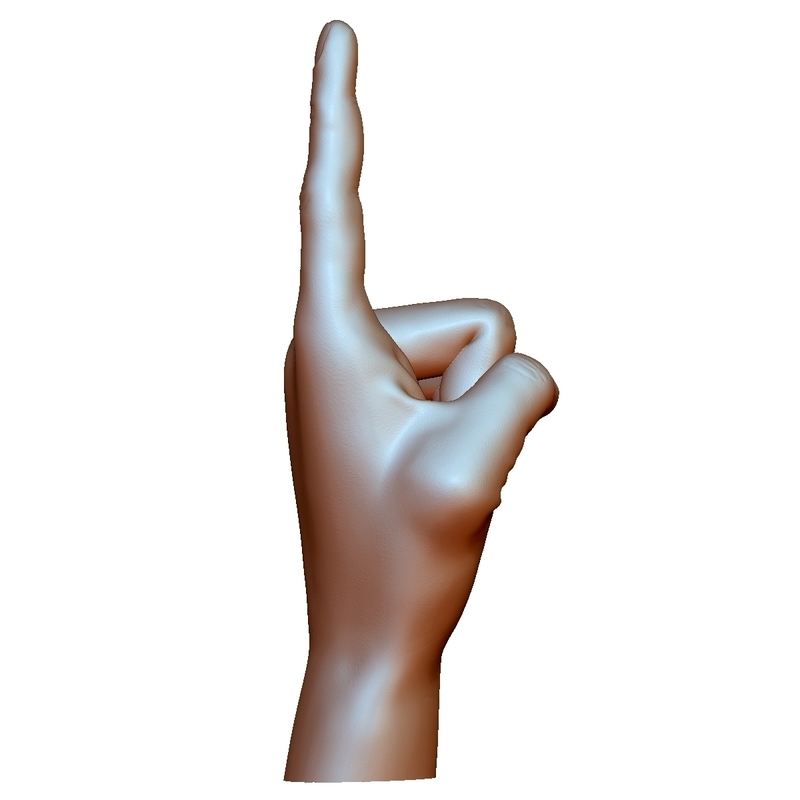 Pointing hand point gesture male - Pinshape