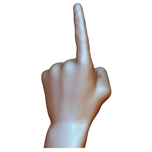 Pointing hand point gesture male 3D Print 248646