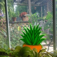 Agave Project - Thumbnail 2