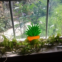 Agave Project - Thumbnail 3