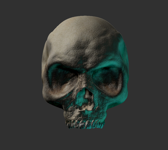 Skull 3D model 3D Print 248666