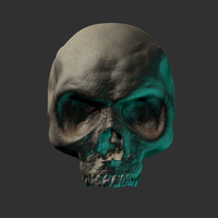 Small Skull 3D model 3D Printing 248666