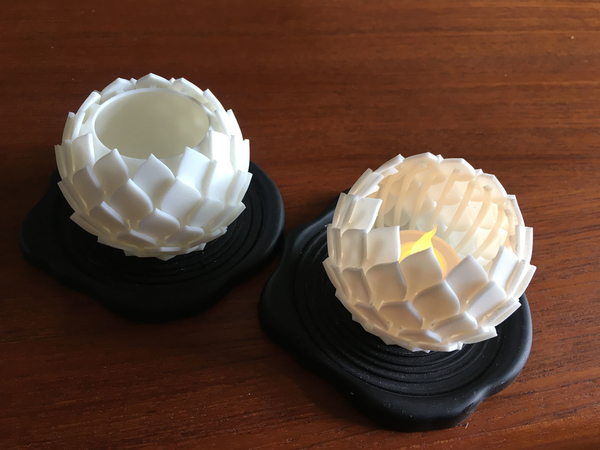 Lotus Vase and Lotus Lamp