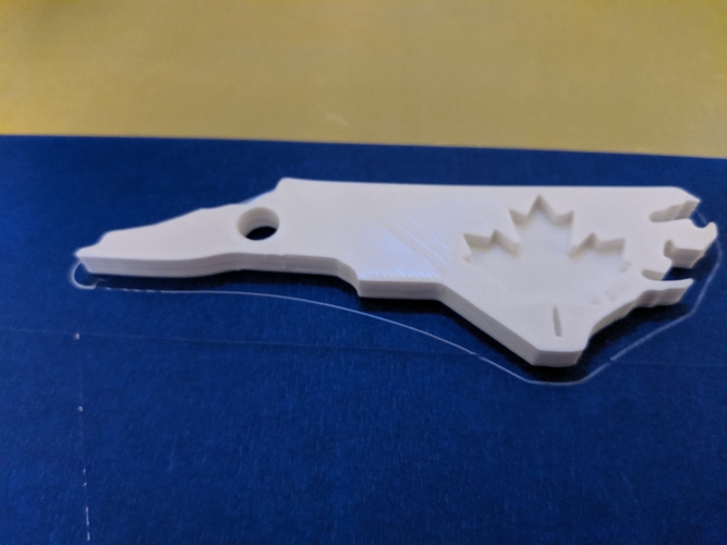 Canadian in North Carolina Keychain 3D Print 249077