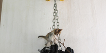 Image 249284